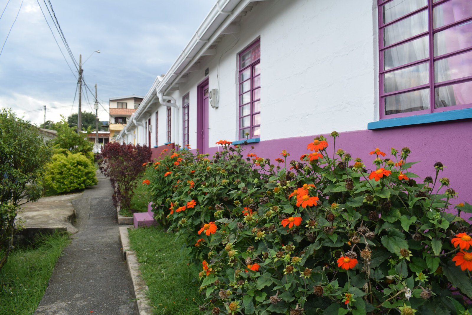 Vivienda